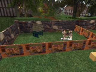Viking Puppy Pen Boxed