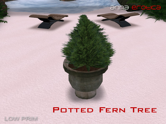 AnnaErotica - Potted Fern Tree