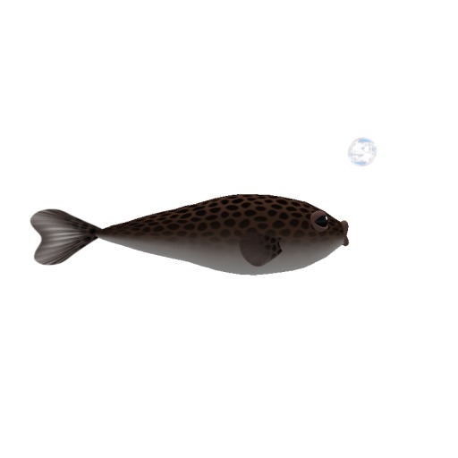 (7S) Common Fish: Blue Frost Fish