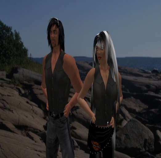basic leather vest