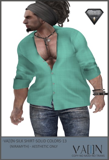 -Va[i]N- Silk Shirt (solid colors ) 13