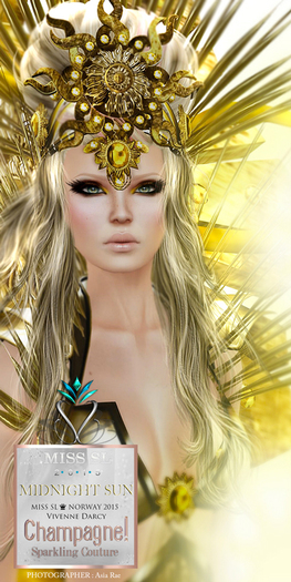 (C)DEMO/MIDNIGHT SUN Mesh Gown (7 Sizes)
