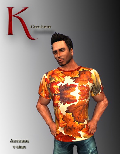 AUTUMN T-SHIRT