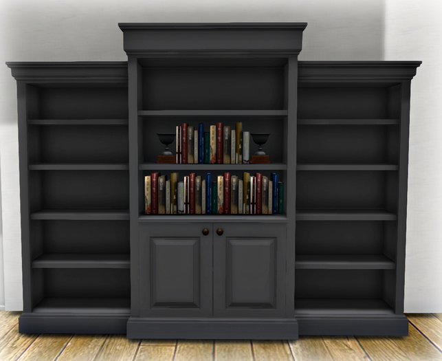 NEW! COPY Bookcase 2 Black Mesh