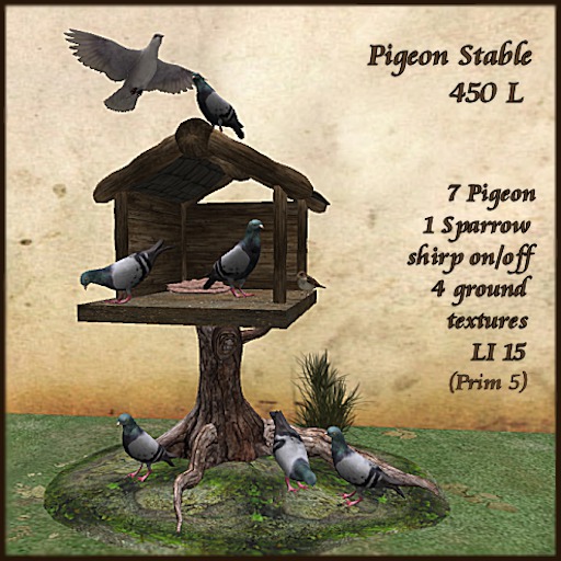 Pigeon stable, dove