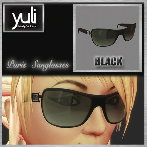 (Yuli) Paris Sunglasses BLACK
