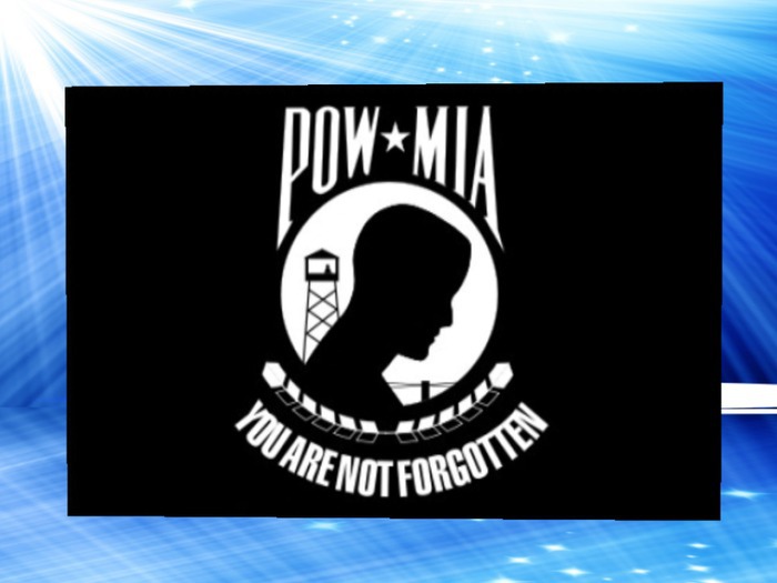 Pow & Mia Poster - Not Forgotten