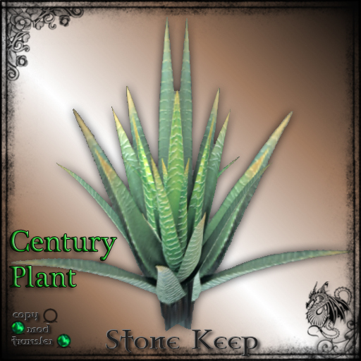 [SK] Century Plant