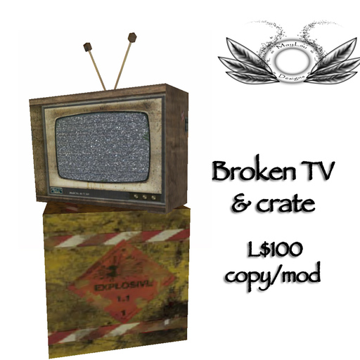 Broken TV & crate
