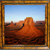 ARIZONA DESERT 