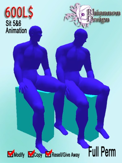 Rhiannon Design/ Sit 5&6