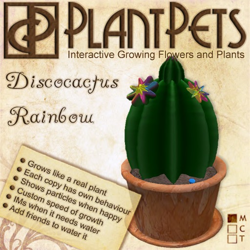 PlantPet Seed [Discocactus *Rainbow*]