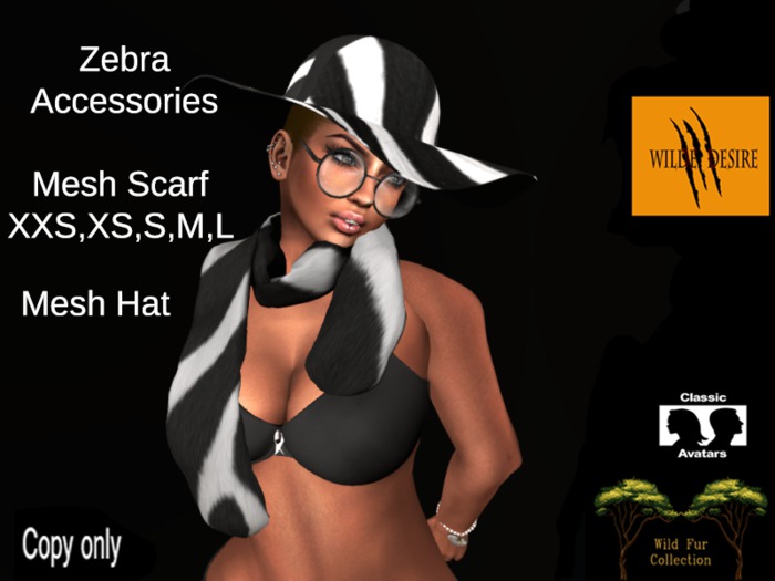 Zebra Accessories