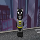 The Dark Kitty