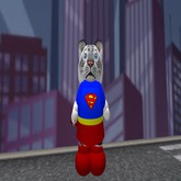 Kitten of Steel (Female)