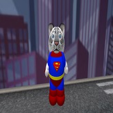 Kitty of Steel (Male)