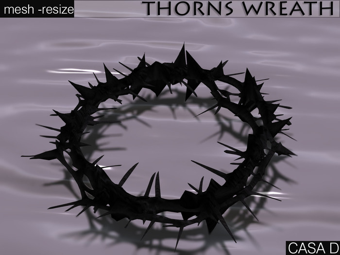 Thorns Wreath  (gift)
