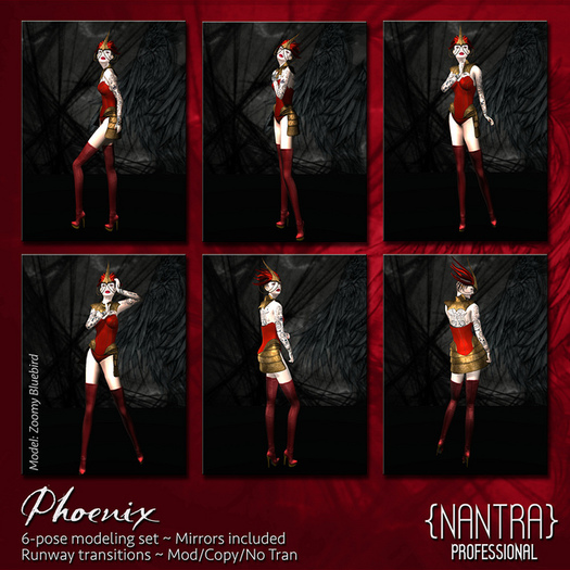 {NanTra}