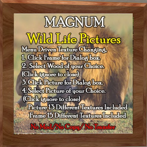 Wild Animals Pictures