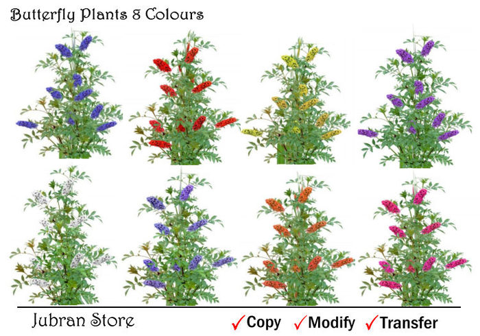 Butterfly Plants 8 Colours
