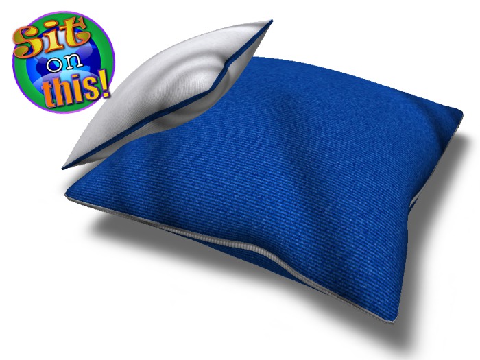 Sit on This! Sitpillow Blue