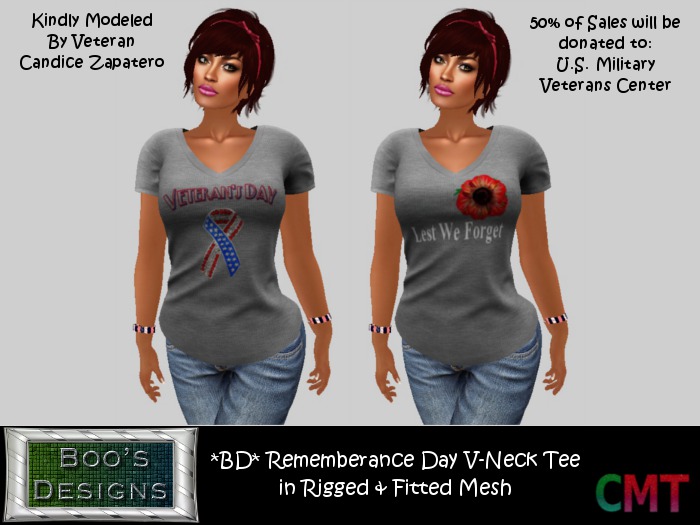 DEMO ~ Ladies V-Neck T-Shirt in Rigged/Fit Mesh