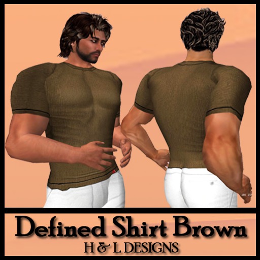 Defined Shirt Brown (Boxed) 3