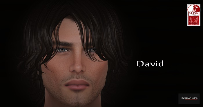 DAVID - LBRONZE