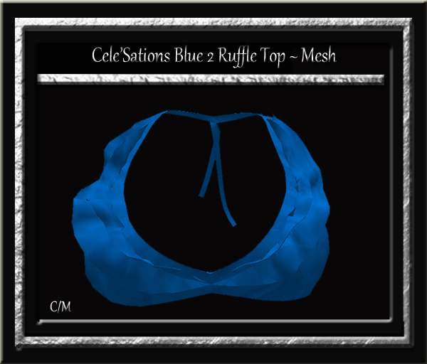 Cele'Sations Mini Skirt A MESH Pk