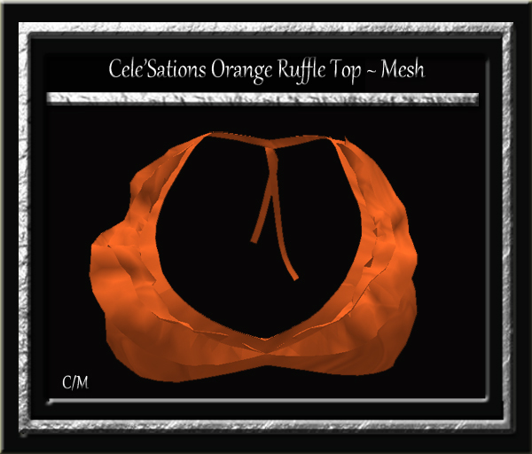 Cele'Sations Mini Skirt A MESH Pk