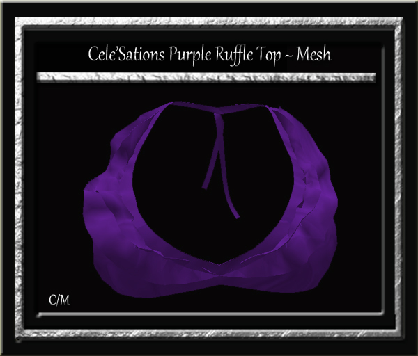 Cele'Sations Mini Skirt A MESH Pk