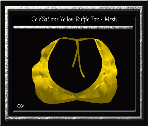 Cele'Sations Mini Skirt A MESH Pk