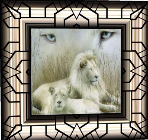 WHITE LIONS