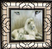 LIONS GLARE