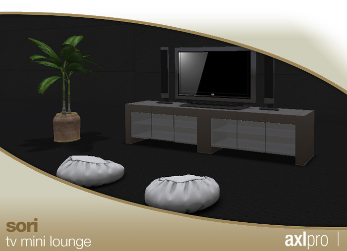 AXL pro Box - Sori TV Mini Lounge