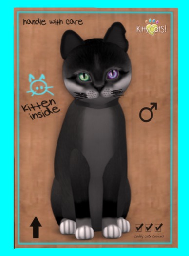 KittyCatS Box - Foxie - Soft Black