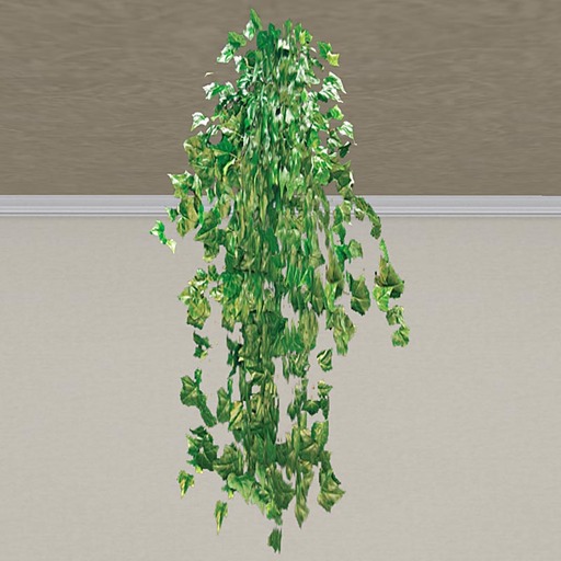 Ivory Tendril Hanging Basket Plant (1 prim only!)