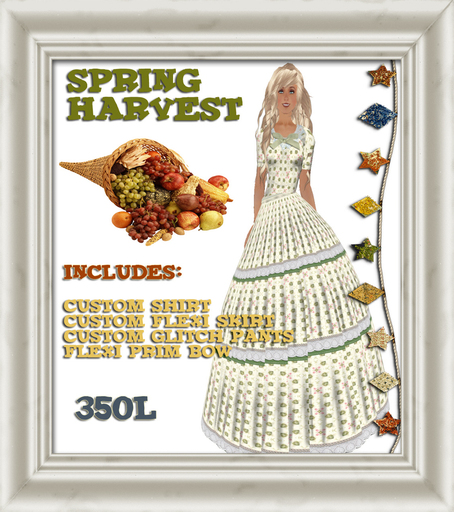 Shabby Chic Spring Harvest Country Western Victorian Prairie Vintage Dress