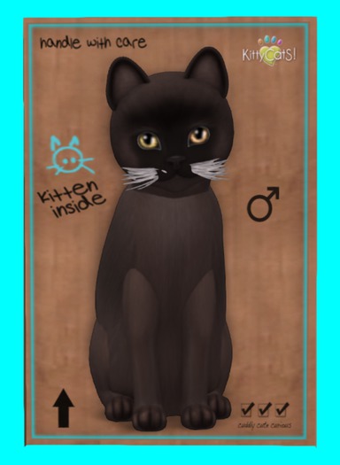 KittyCatS Box - Burmese - Sable