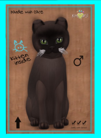 KittyCatS Box - Burmese - Sable