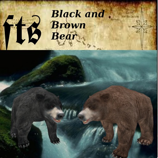 Black and Brown bear with sound (MP)