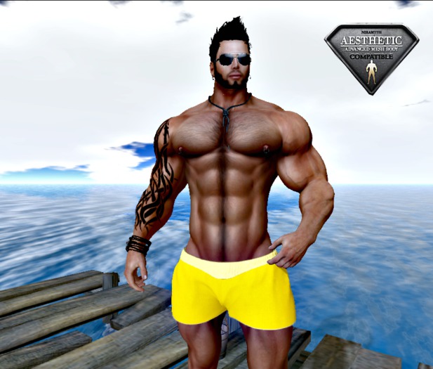 [D.Cavalieri] - Shorts Yellow - Fitted Mesh