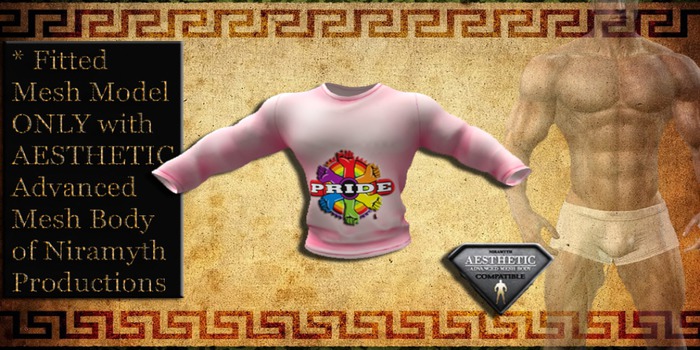 AESTHETIC  SHIRT 4