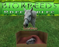 BB BioBreeds Chesnut - Long - Long Cheyenne unbirthed for Everyone