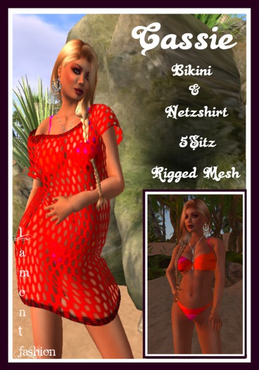 Netzshirt & Bikini Cassie