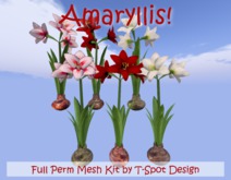 T-Spot Ten Trees in 3 Prims - Full Perm Kit