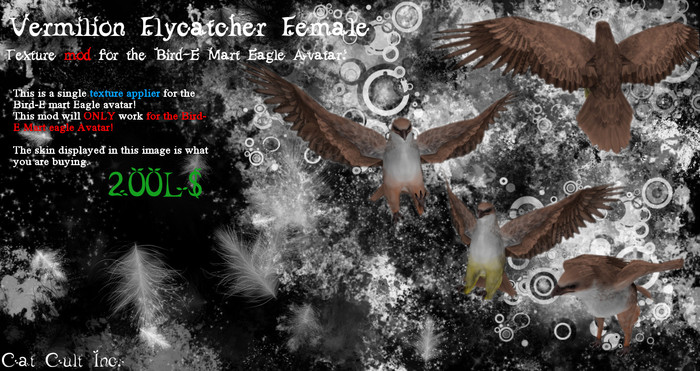 Vermilion Flycatcher F Mod