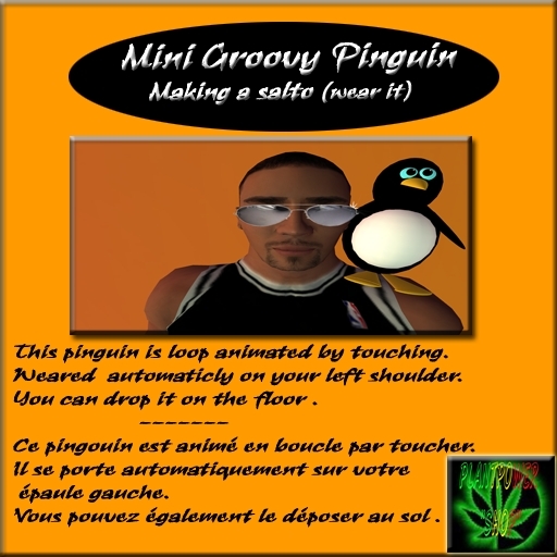 **Mini Groovy Pinguin - Making a salto