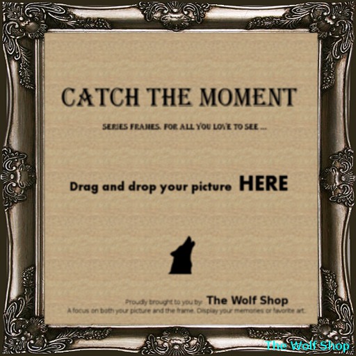004 - T/M - Catch The Moment Series Frame