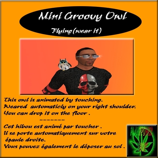 **Mini Groovy Owl - Flying(wear it)